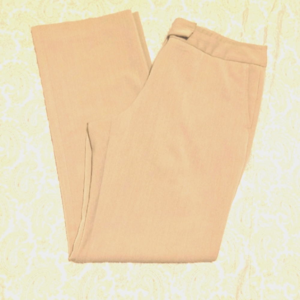 Lynda Covington Light Beige Rayon Blend Straight Leg Dress Slacks Wms Sz 12